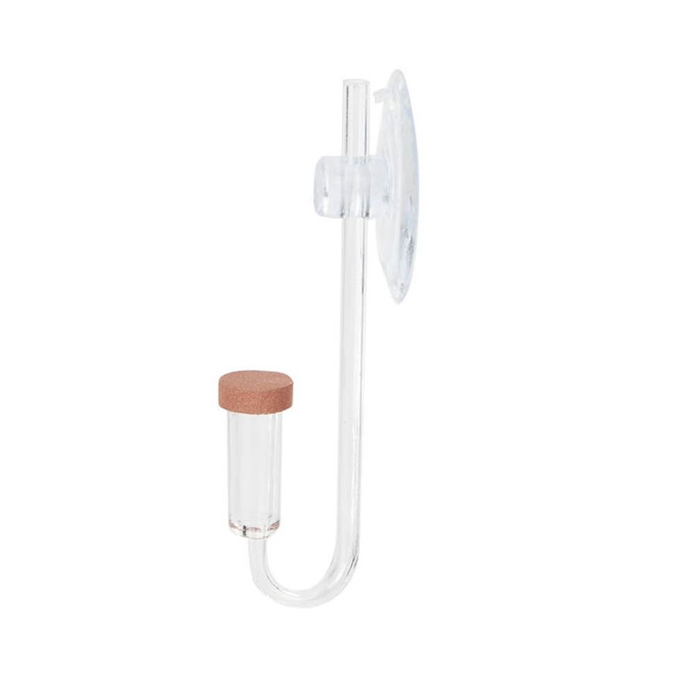 Mini acquario acrilico Pianta  - Aquarium Plant No Co2 recensione e prezzo
