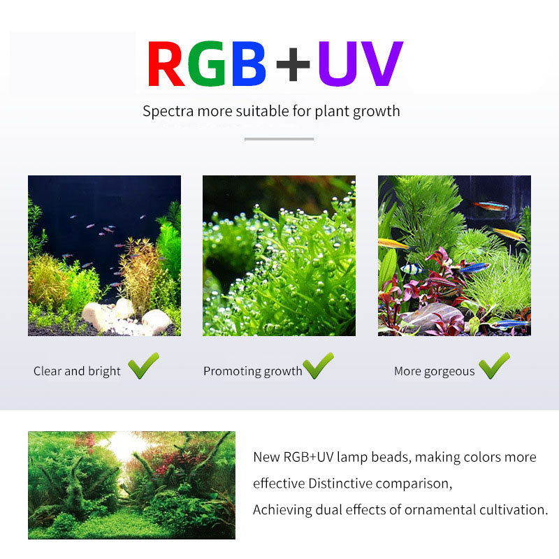 Lampada per Acquario WEEK AQUA - Aquarium Plant On Top recensione e prezzo