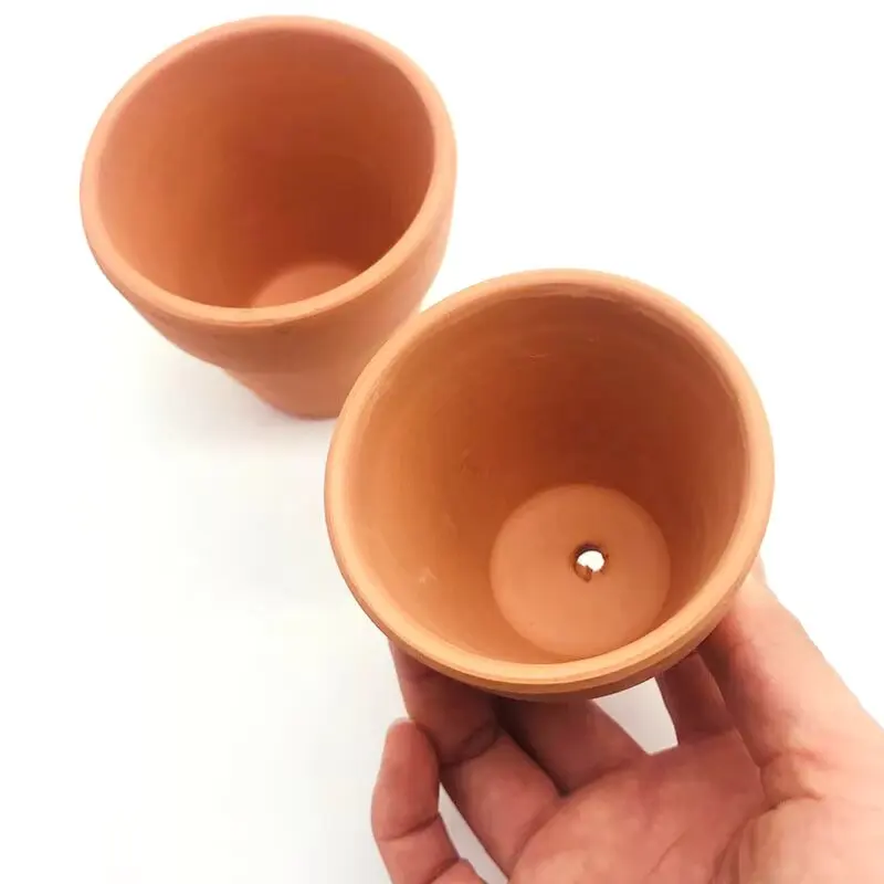 Decorazione dell'acquario di f - Planted Aquarium Mini recensione e prezzo