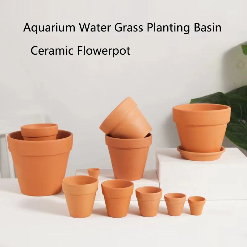 Decorazione dell'acquario di f - Planted Aquarium Mini recensione e prezzo