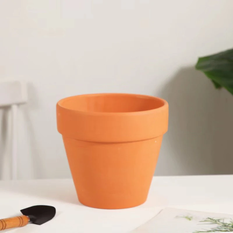 Decorazione dell'acquario di f - Planted Aquarium Mini recensione e prezzo