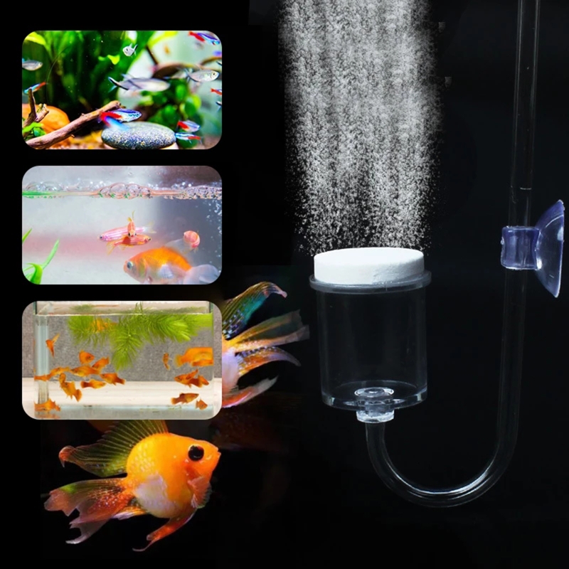 Set da 4 pezzi diffusore di CO - Aquarium Plant No Co2 recensione e prezzo