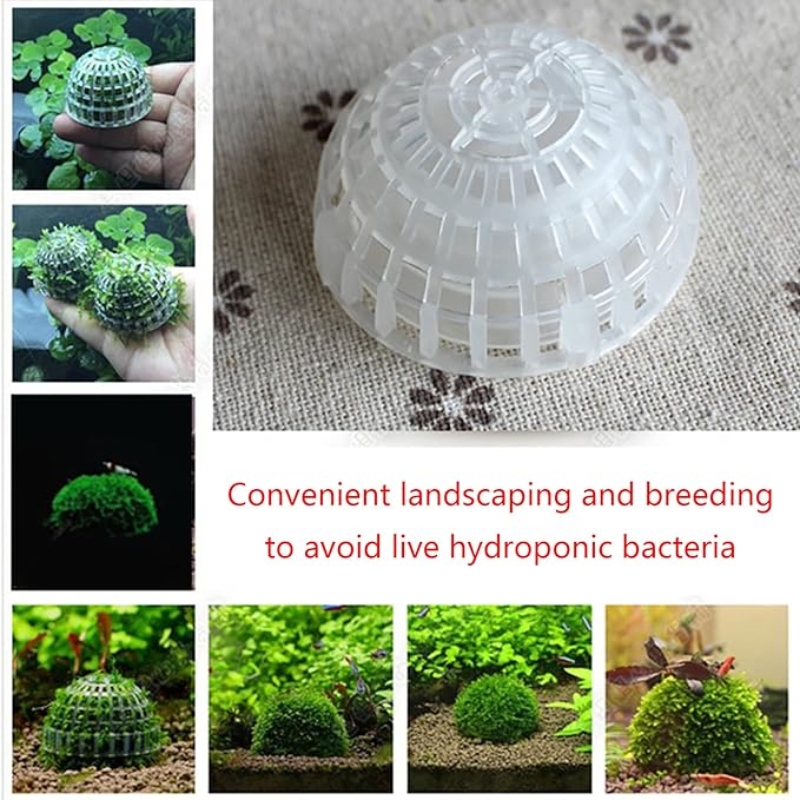 Supporto per palla di muschio  - Planted Aquarium Models recensione e prezzo