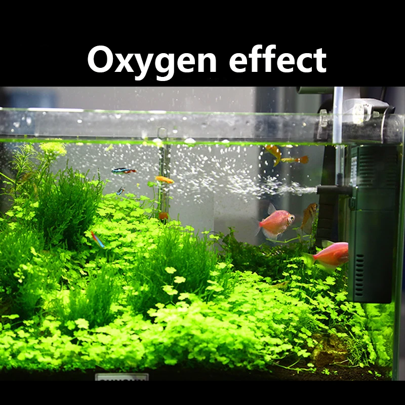 SUNSUN mini nano 111B 311B 611 - Planted Aquarium Mini recensione e prezzo