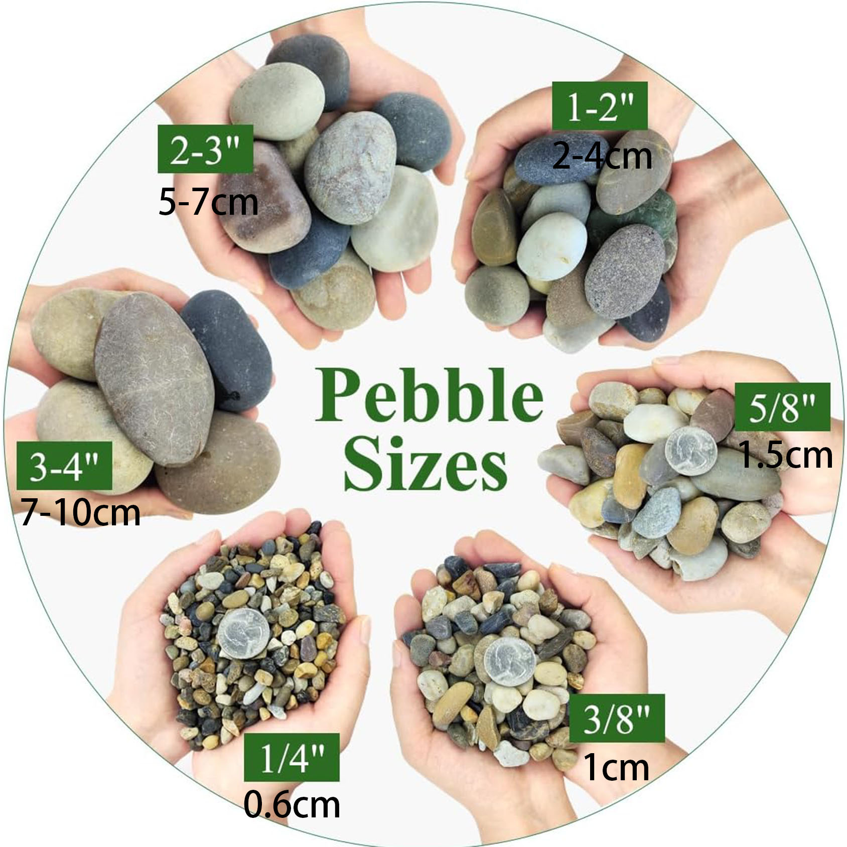 Rocce di fiume naturali, picco - Planted Aquarium With Gravel recensione e prezzo
